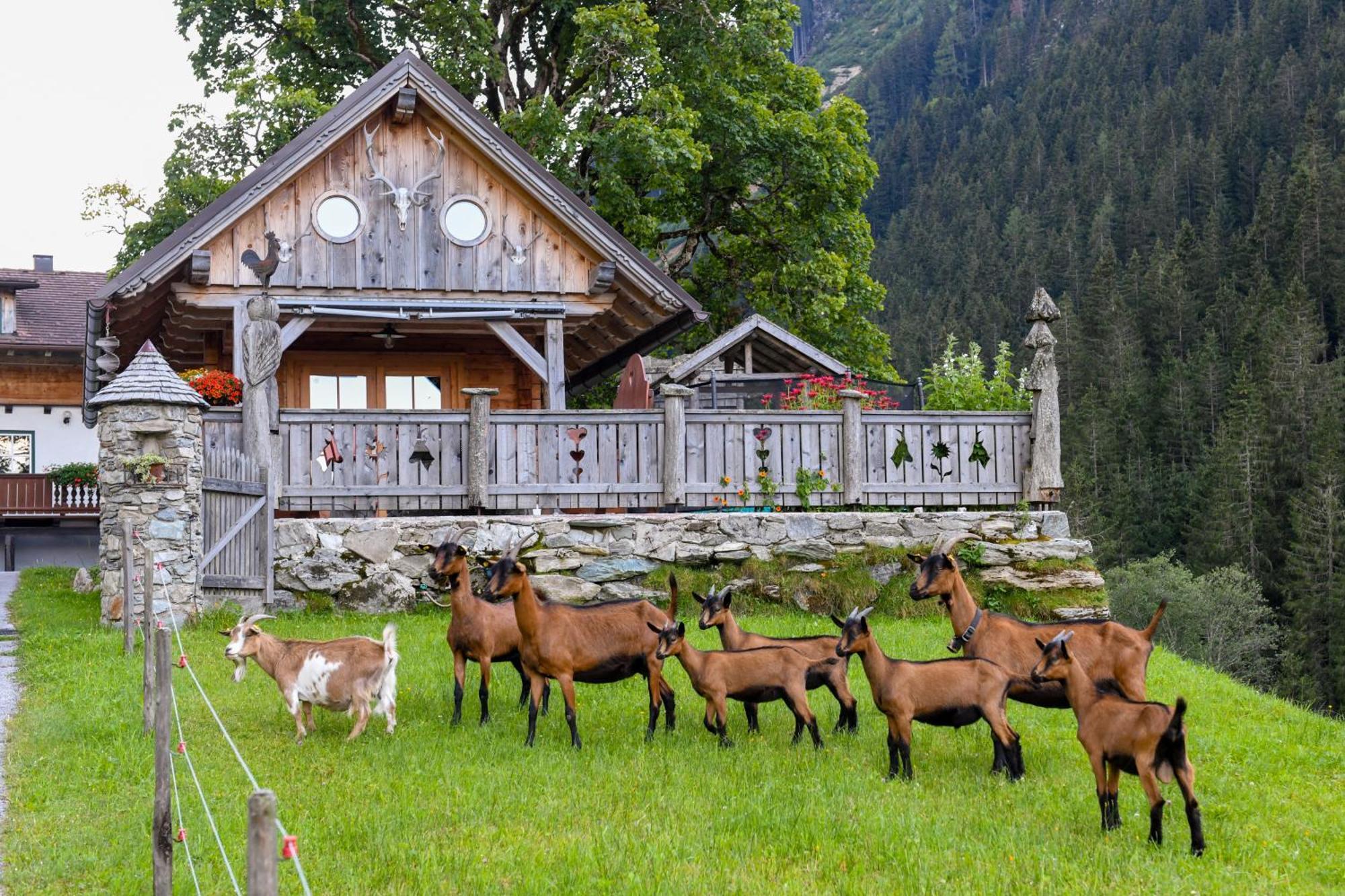 Strickhof Villa Schladming Exterior photo